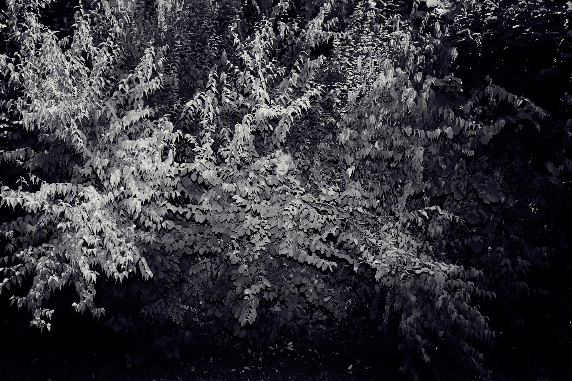 sebastian arlt