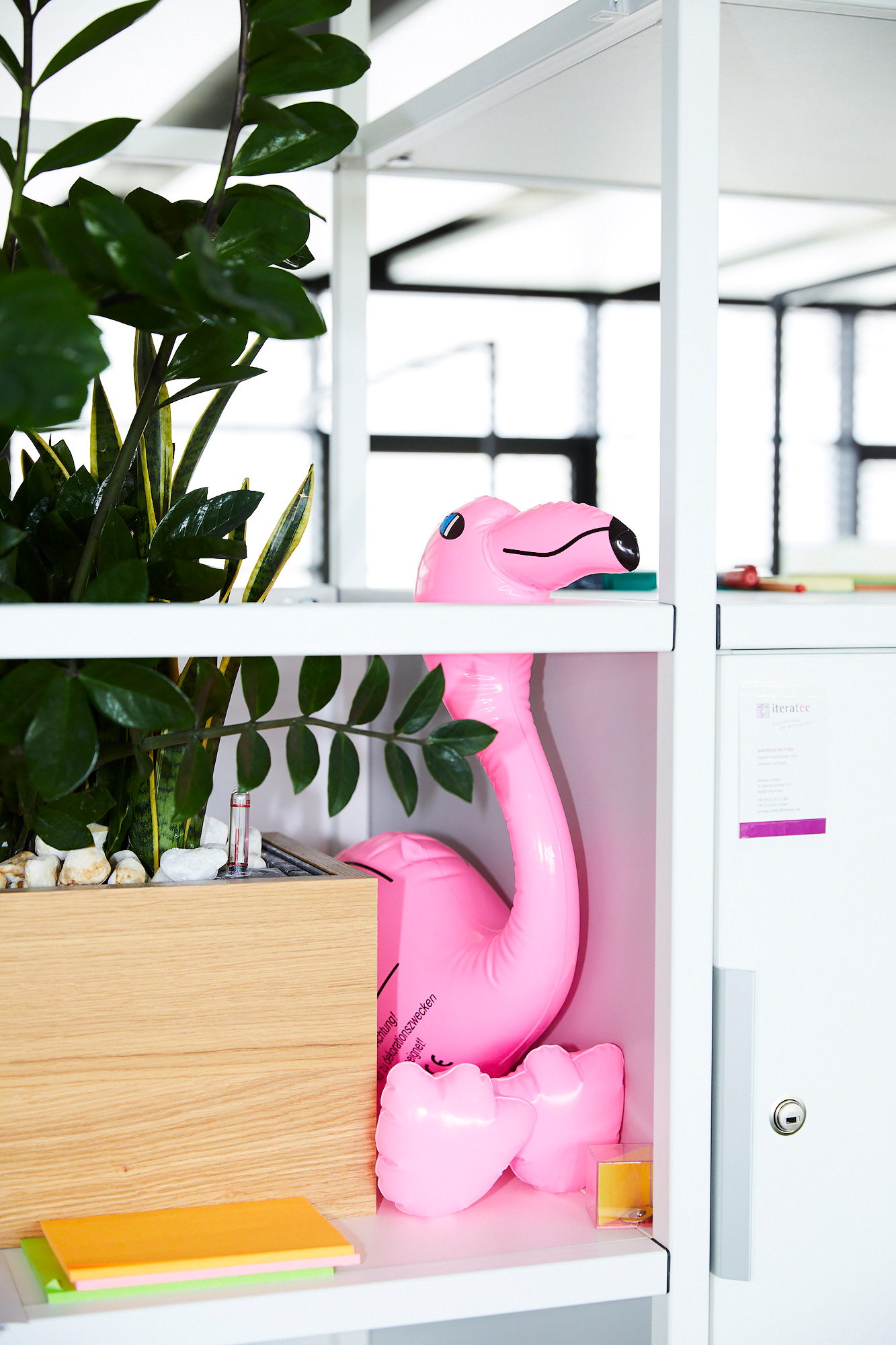 sebastian arlt
